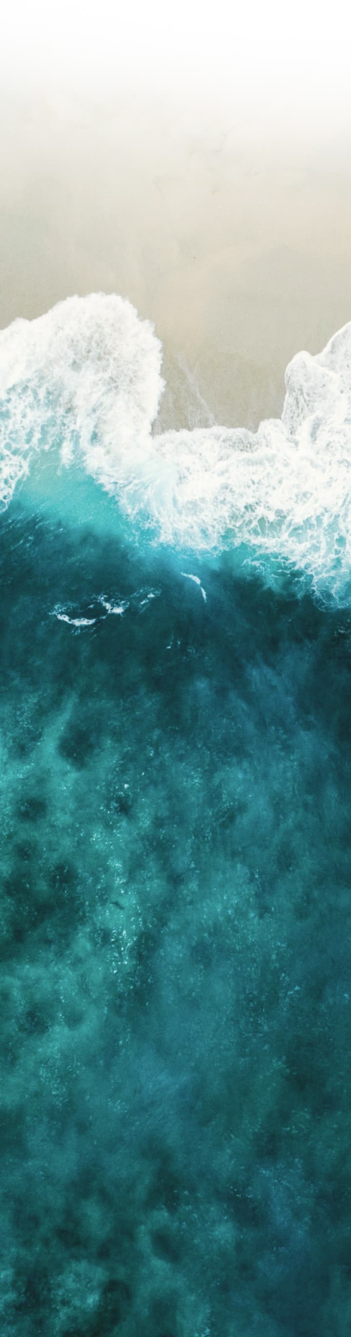 Banner background