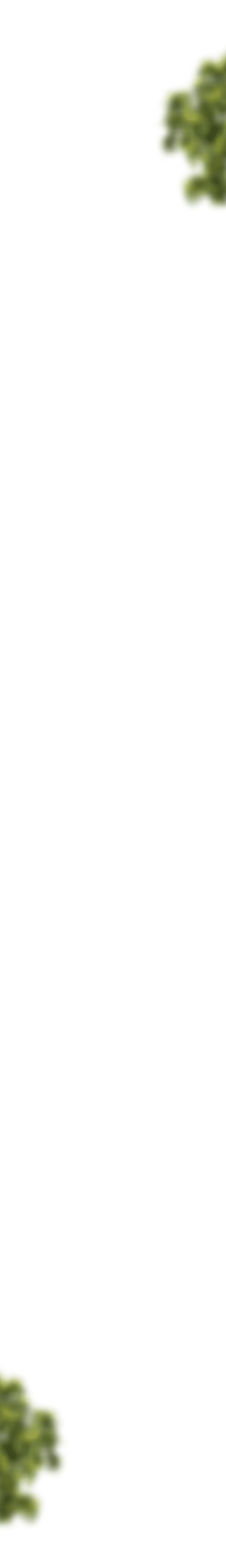 Banner background
